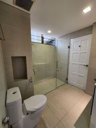 Sommerville Park (D10), Condominium #586786621